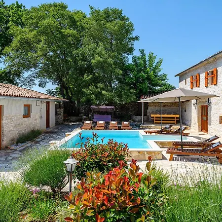 In With Outdoor Swimming Pool Holiday home Rezanci